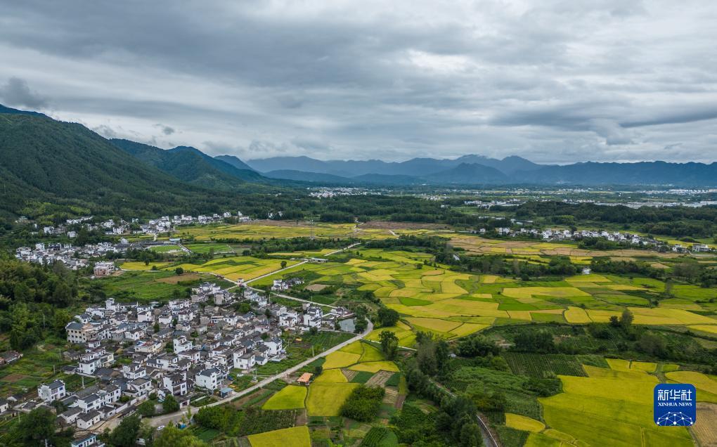 永利苹果售后维修